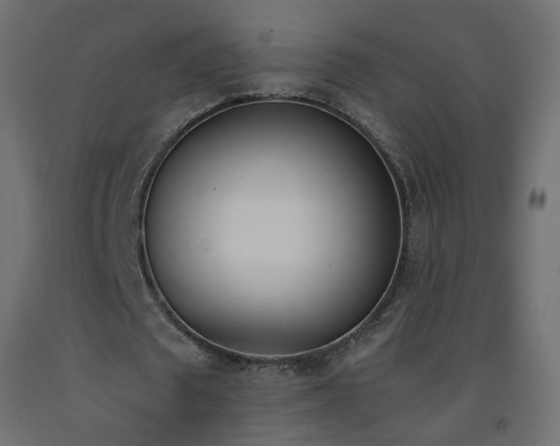 X0000093390673200710111516