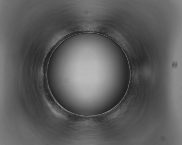 X0000093390674200710111515