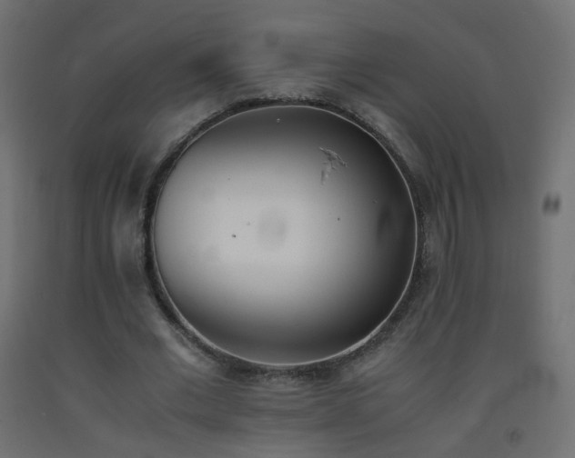 X0000093390677200710111515