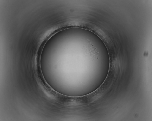 X0000093390678200710111515