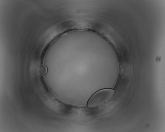 X0000093390679200710111515