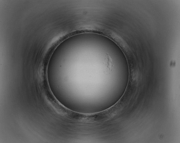 X0000093390680200710111515