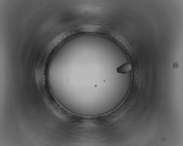 X0000093390682200710111515