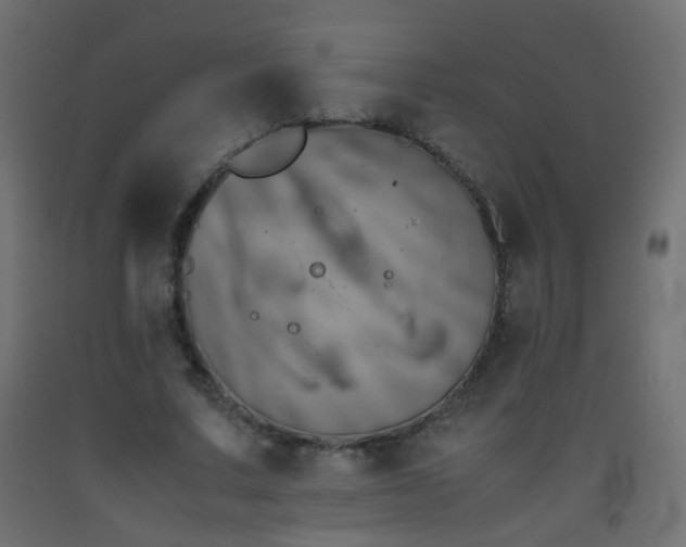 X0000093390683200710111515