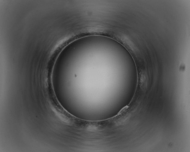 X0000093390684200710111515