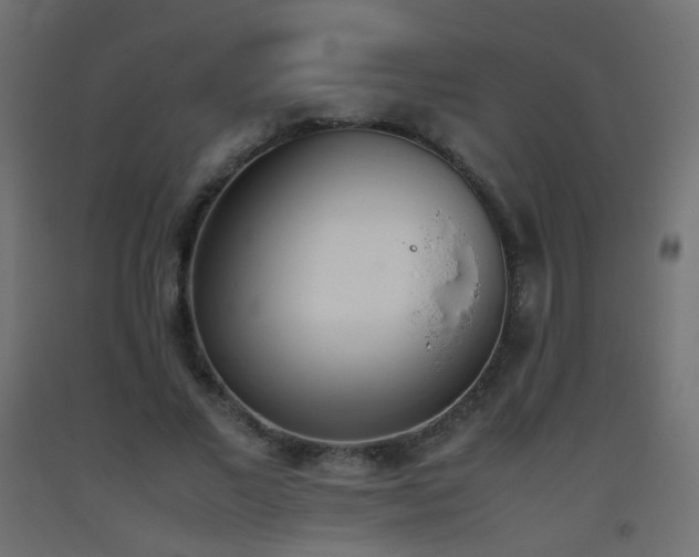 X0000093390685200710111515