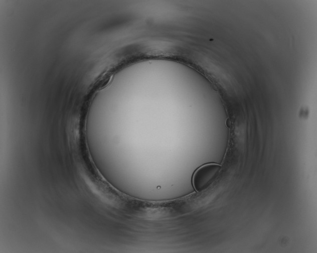 X0000093390686200710111515