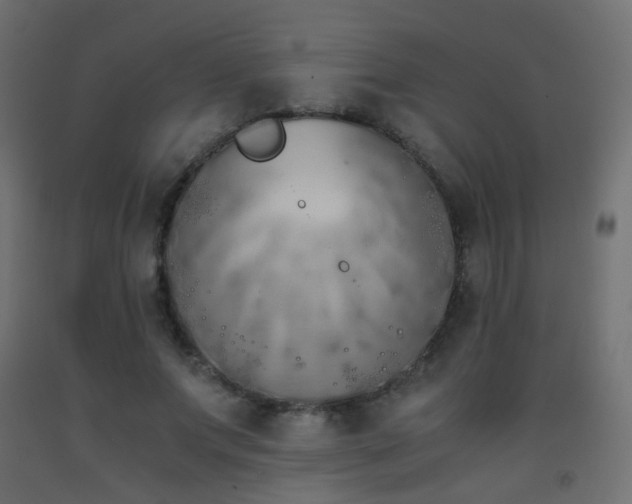 X0000093390687200710111515