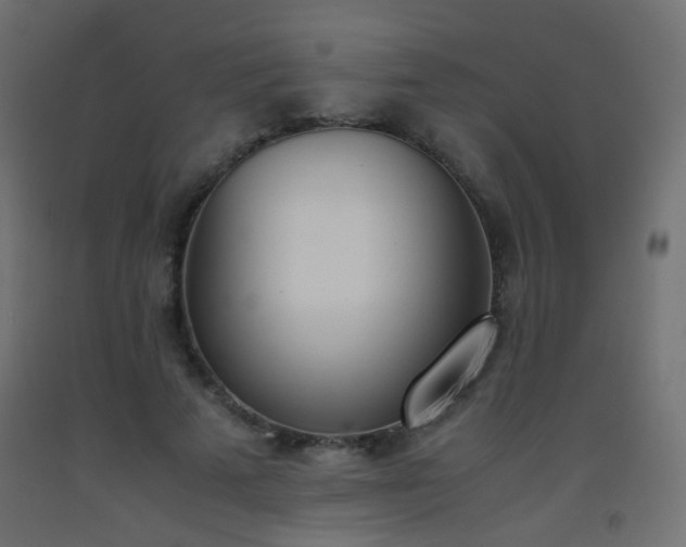 X0000093390689200710111515