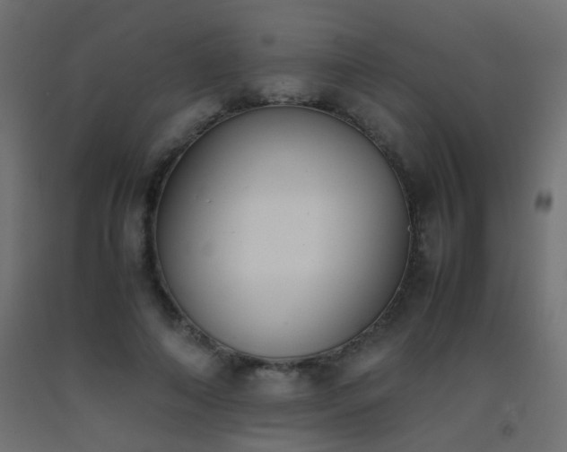 X0000093390690200710111515