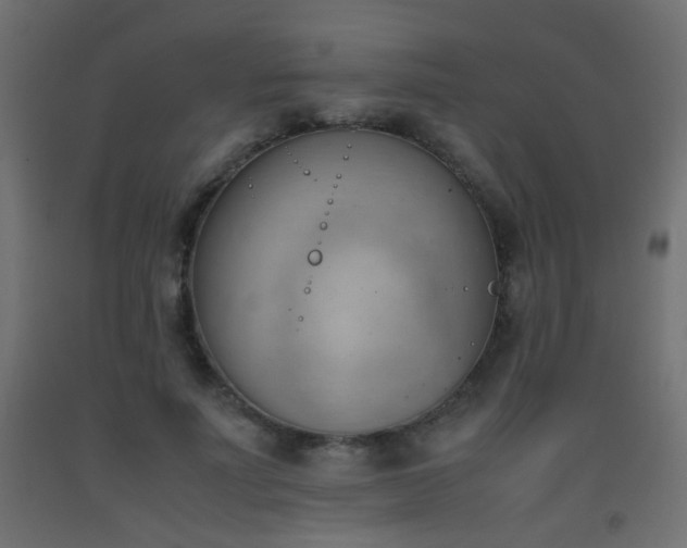 X0000093390691200710111515