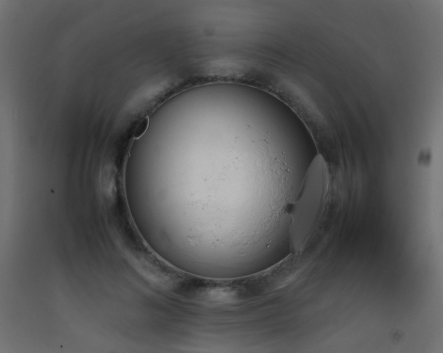 X0000093390692200710111515