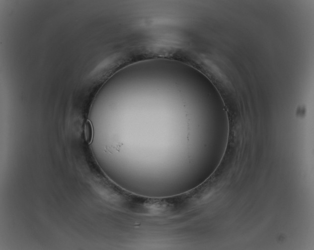 X0000093390693200710111515