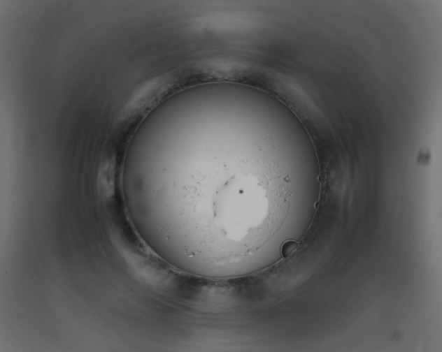 X0000093390694200710111515