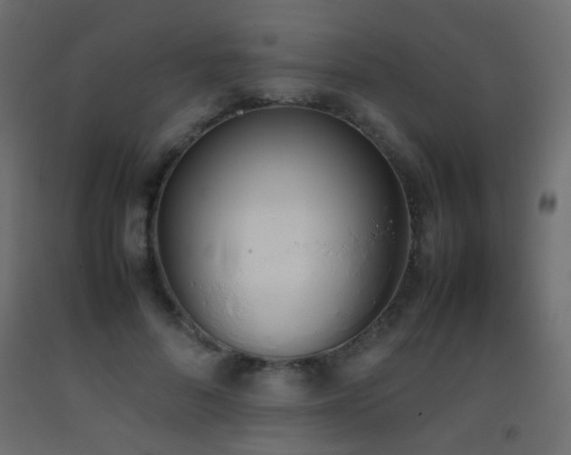 X0000093390696200710111515