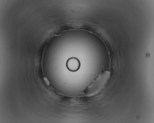 X0000093390697200710111515