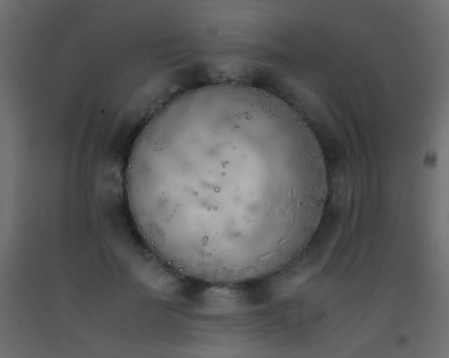 X0000093390699200710111515