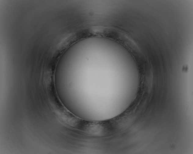 X0000093390702200710111515