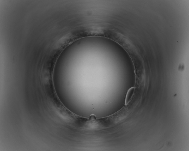 X0000093390704200710111515