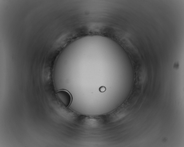 X0000093390706200710111515