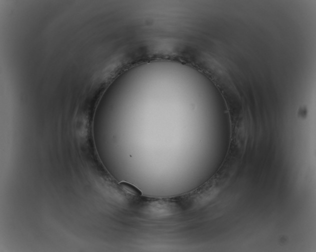 X0000093390708200710111515