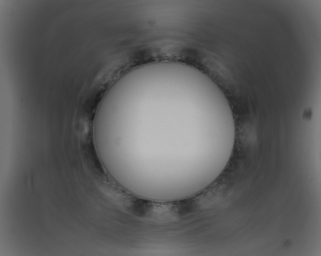 X0000093390709200710111515