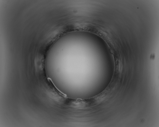 X0000093390712200710111515