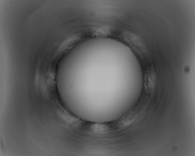 X0000093390714200710111515