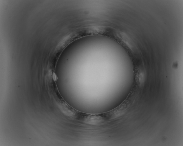 X0000093390716200710111515