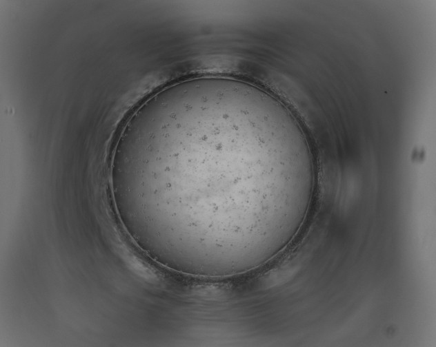 X0000093390721200710111514