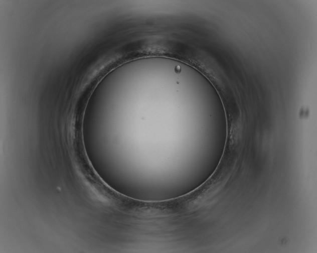 X0000093390722200710111514