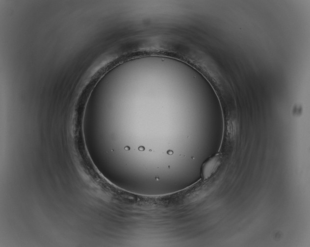 X0000093390724200710111514