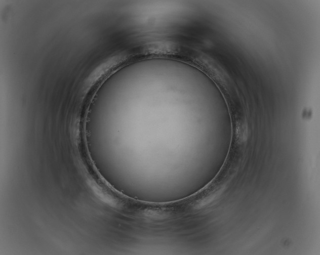 X0000093390725200710111514