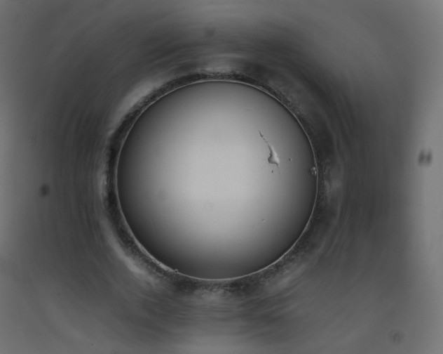 X0000093390728200710111514