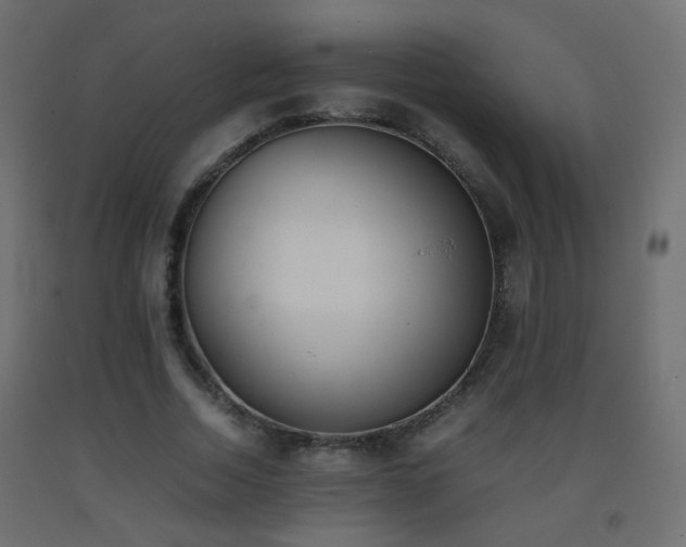 X0000093390730200710111514