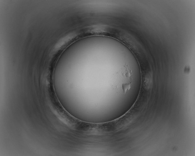 X0000093390732200710111514