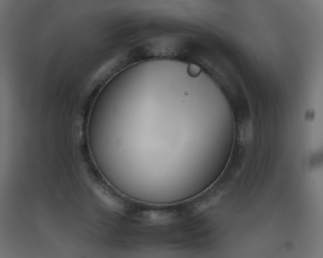 X0000093390733200710111514