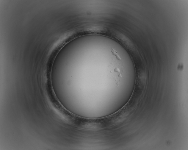 X0000093390734200710111514