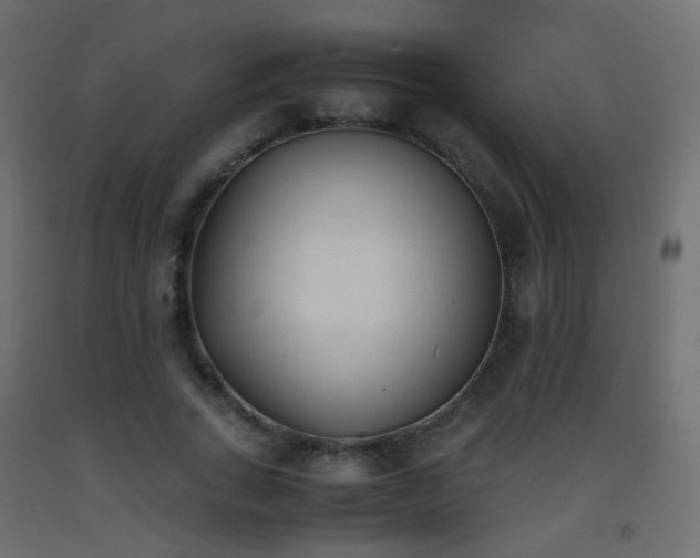 X0000093390735200710111515