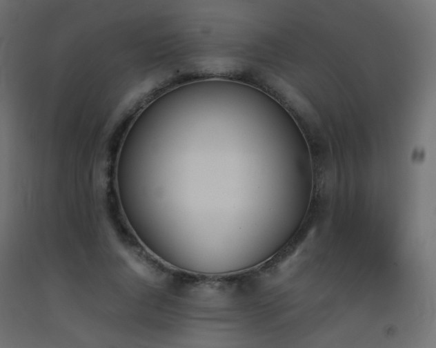 X0000093390736200710111515