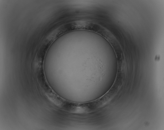 X0000093390737200710111515