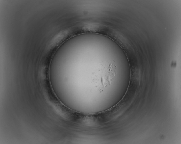 X0000093390738200710111515