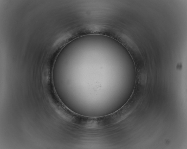 X0000093390740200710111515