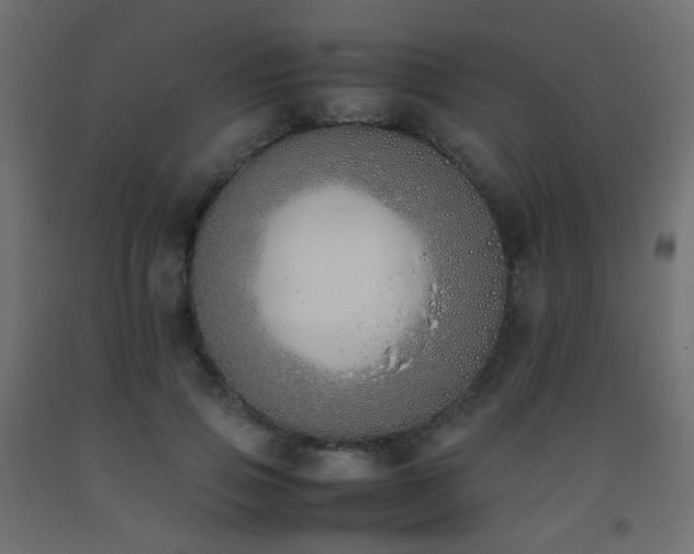 X0000093390741200710111515