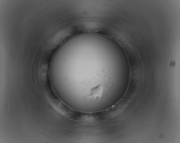 X0000093390742200710111515