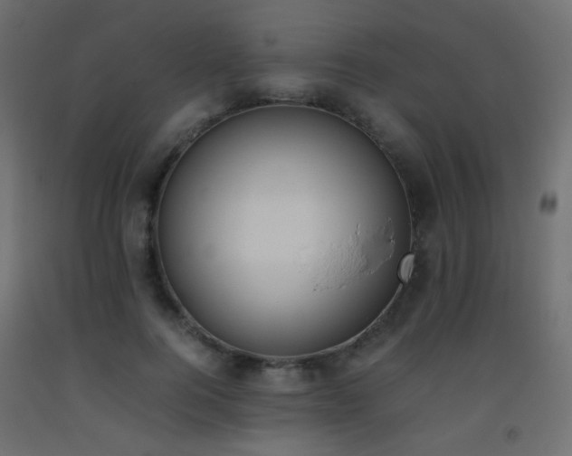 X0000093390744200710111515