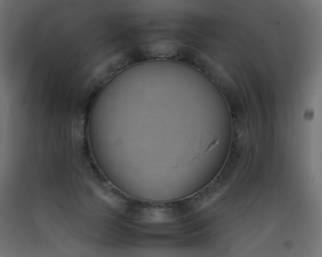 X0000093390745200710111515