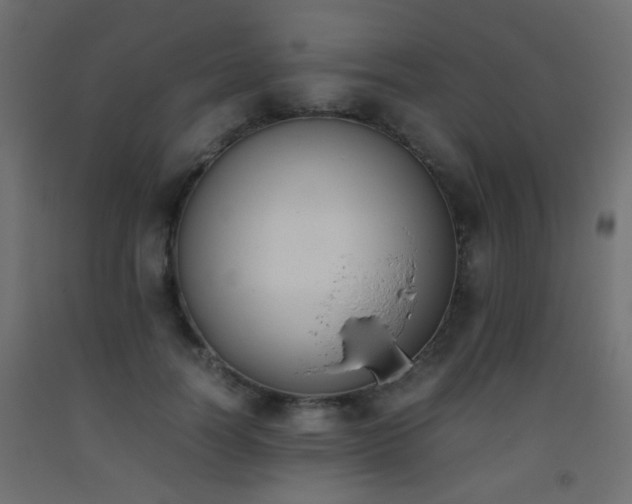 X0000093390746200710111515