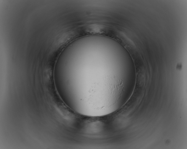 X0000093390747200710111515