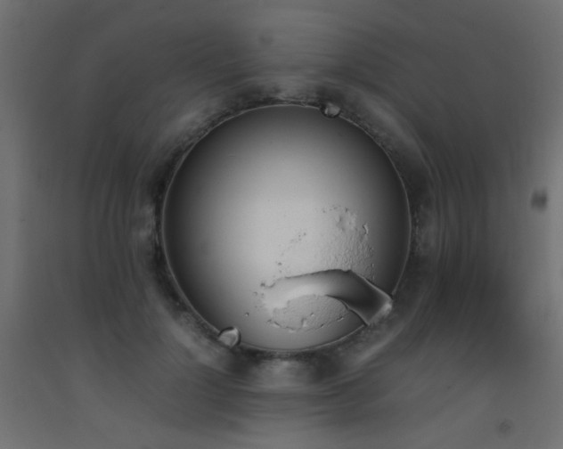 X0000093390748200710111515